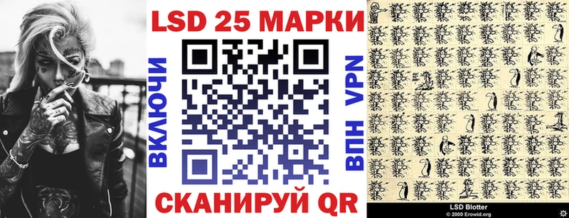 Купить Дорогобуж Марки N-bome 1500мкг